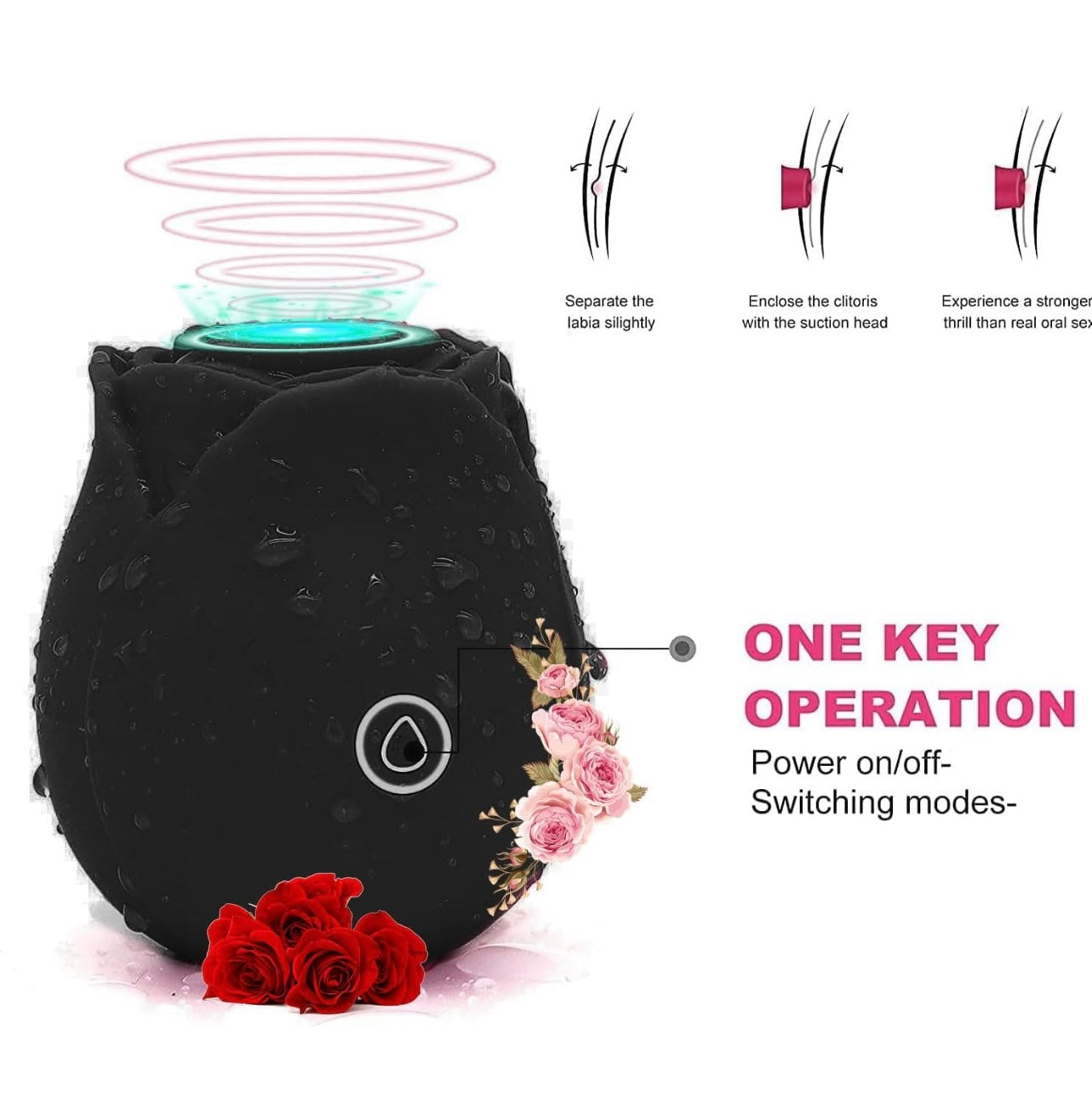 THE BLACK ROSEBABE *Limited Edition*