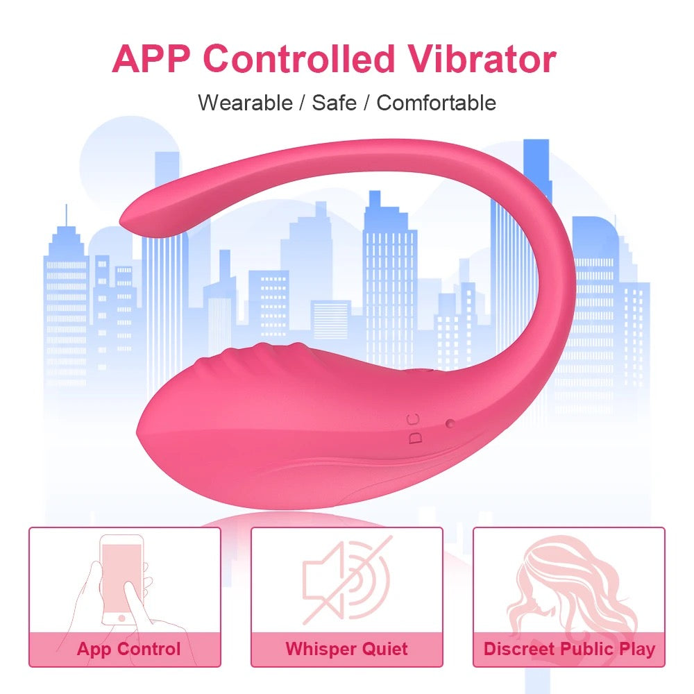 "KEEP ME IN THE MOOD" FOREPLAY & KEGEL VIBRATOR