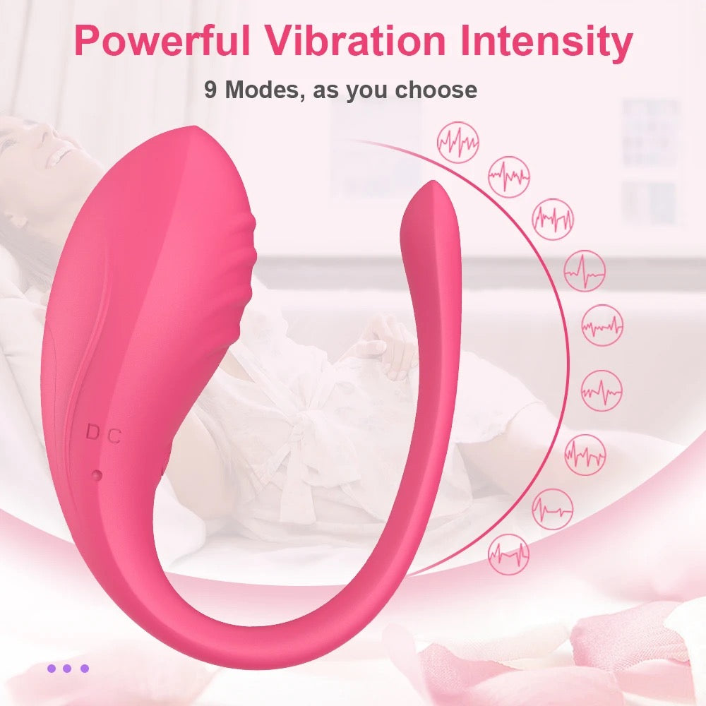 "KEEP ME IN THE MOOD" FOREPLAY & KEGEL VIBRATOR